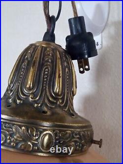 Beautiful Antique Hand Painted & Signed Hanging Parlor Swag Pendant lamp-Floral