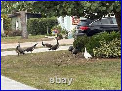 Bohemian White Enamel Glass Cut To Green Hanging Lamp Czech Pendant Chandelier Bohemian White Enamel Glass Cut To Green Hanging Lamp Czech Pendant Chandelier