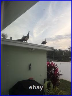 Bohemian White Enamel Glass Cut To Green Hanging Lamp Czech Pendant Chandelier Bohemian White Enamel Glass Cut To Green Hanging Lamp Czech Pendant Chandelier