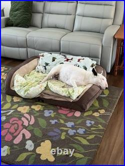 Bohemian White Enamel Glass Cut To Green Hanging Lamp Czech Pendant Chandelier