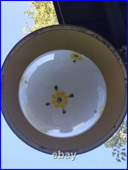 RARE Vintage Retro Shabby Chic Metal/Daisy Glass Globe Swag Pendant Light-COOL