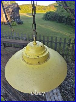 RARE Vintage Retro Shabby Chic Metal/Daisy Glass Globe Swag Pendant Light-COOL