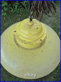 RARE Vintage Retro Shabby Chic Metal/Daisy Glass Globe Swag Pendant Light-COOL