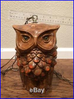 Rare Vintage and Good Looking Two Sided OWL Swag Hanging Lamp