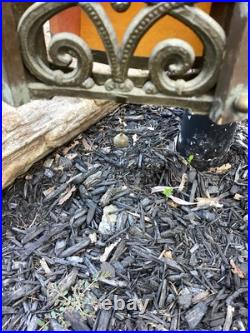 Set Of 2 MCM Hollywood Regency Gothic Hanging Swag Lamp Light Wild Looking VTG