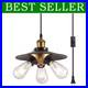 Vintage Hanging Light with Plug-in Cord Black Swag Lamp