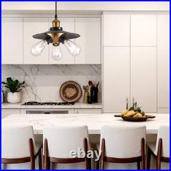 Vintage Hanging Light with Plug-in Cord Black Swag Lamp