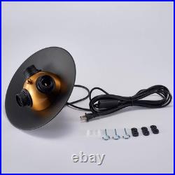 Vintage Hanging Light with Plug-in Cord Black Swag Lamp