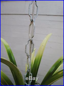 Vintage Italian Tole Hanging Spider Plant Fern Six Light Chandelier Swag Lamp