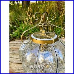 Vintage MCM Clear Blown Glass Caged Style Swag/Hanging Lamp/light