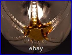 Vintage Murano Hanging Ball Lamp/Chandelier/Pendant Light withSea Star Impression