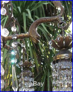 Vintage Serpent fish Brass Bronze hanging lantern glass Chandelier crystal lamp