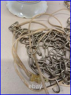 Vintage Swag Chandelier Lamp 70s Quoizel Blue Floral Hanging Light