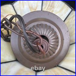 Vintage Tiffany Style Fruit Stained Acrylic Glass Hanging Pendant Ceiling Lamp