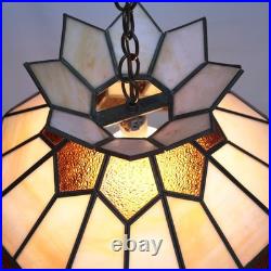 Vintage Traditional Slag Glass Chandelier Dining Hanging Lamp Large 18 Retro