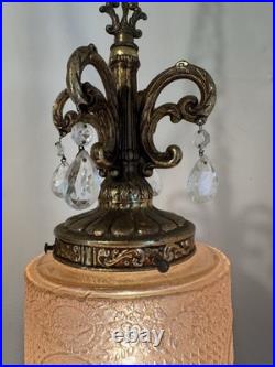 Vintage Unique Rare Hanging Swag Lamp Etched Glass Birds, Flowers Intricate