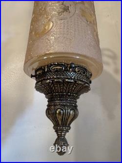 Vintage Unique Rare Hanging Swag Lamp Etched Glass Birds, Flowers Intricate
