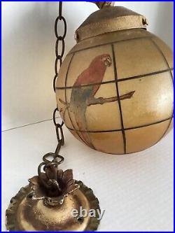 Vintage (over 80 Yrs) Swag Lamp Light Hand Painted Bird Parrot 25 Circ